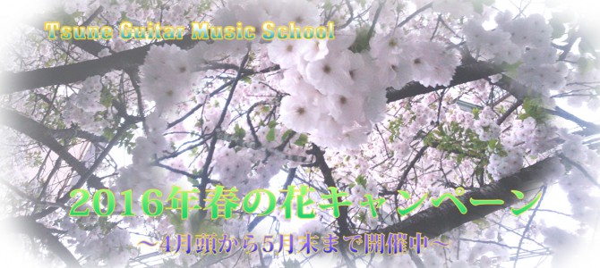 2016年春の花キャンペーン